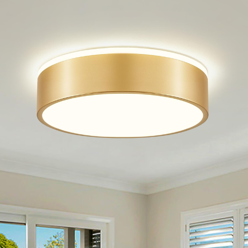 Ceiling Light Fixture